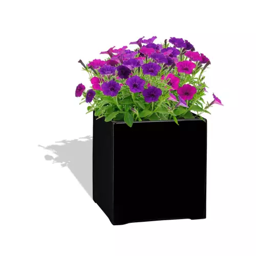 Czarna donica D992A z Petuniami